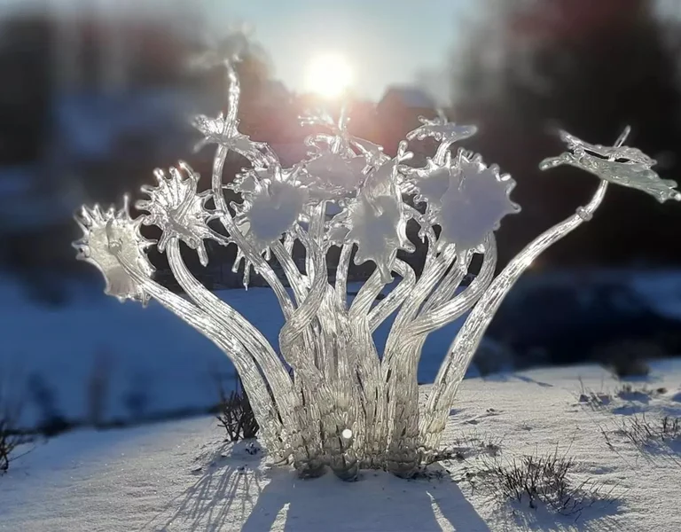Icy sculpture-like plant with sun shining through it against a snowy backdrop.