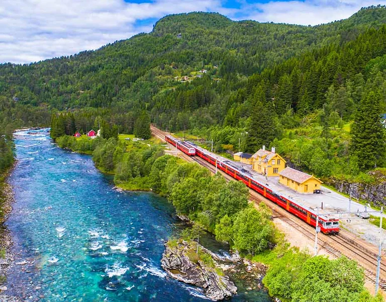 Train in the nature from Oslo to Bergen, Norway