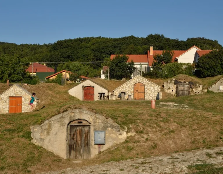 Hillside with partially underground stone wine cellars and one person walking.
