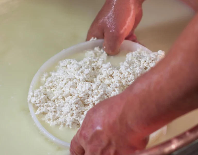 A Slovenian cheesemaker shaping soft Mohant cheese in a rustic alpine hut, with lush green meadows in the background.