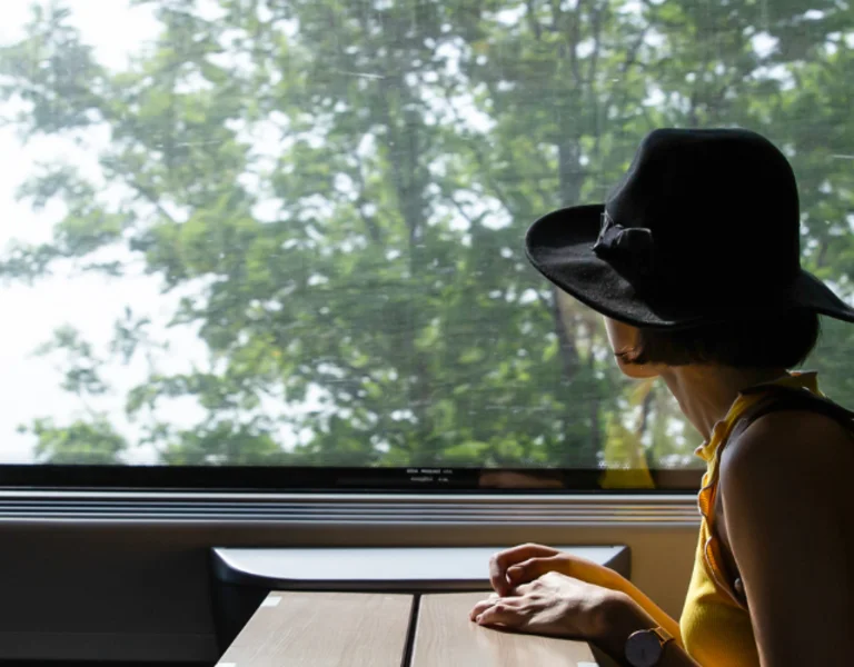 A solo traveler wearing a black hat and backpack gazes out of a train window, seated in a spacious, modern cabin with leather seats as trees blur past outside.