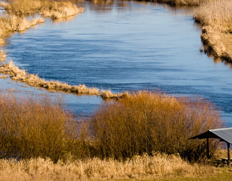 A serene river winding through golden grasses and vegetation, with a small shelter and picnic table along the bank.