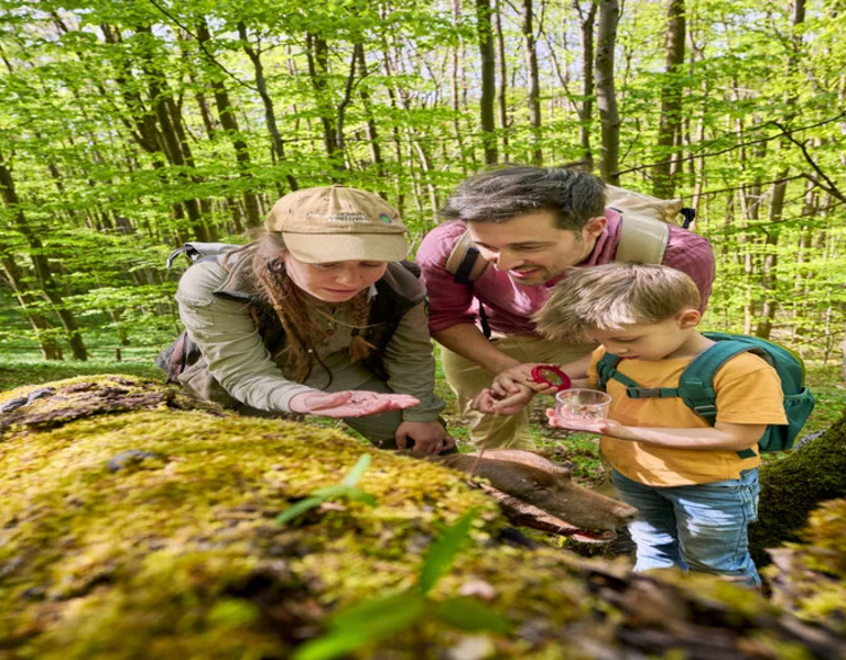 A child and two adults observe nature closely, exploring a mossy log in a lush green forest under bright sunlight.