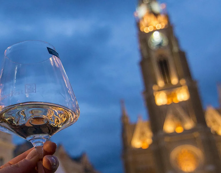 A hand raising a glass of white wine with the illuminated clock tower of Novi Sad in the background.