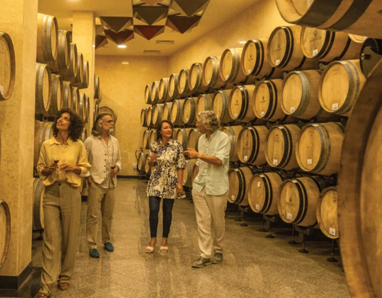 Group of visitors touring a Cypriot winery, standing among rows of oak barrels during a wine tasting experience.