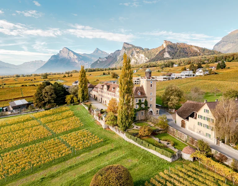 Panoramic vineyards overlooking Lake Geneva and the Alps in Switzerland.