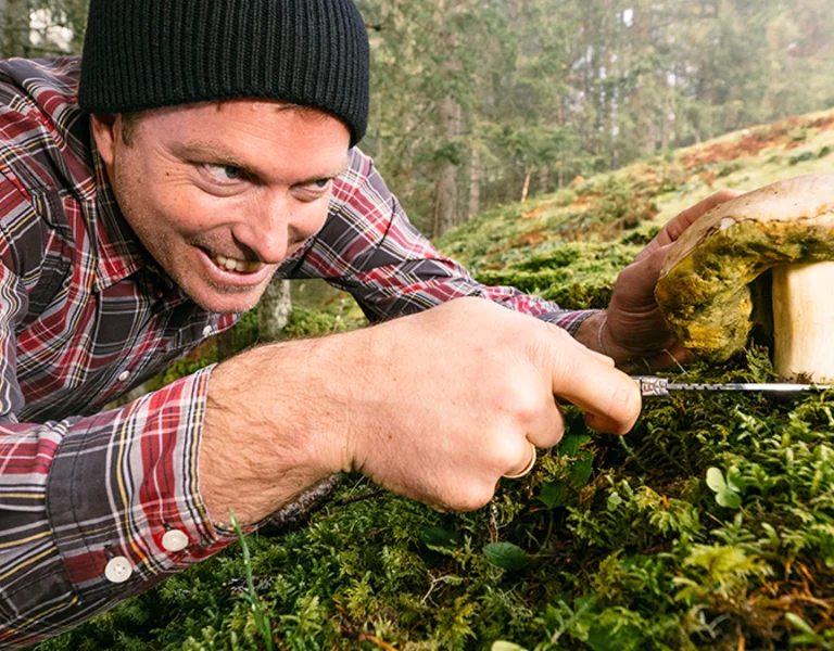 Forager picking wild mushrooms in the forest in SalzburgerLand, Austria, during autumn harvest season.