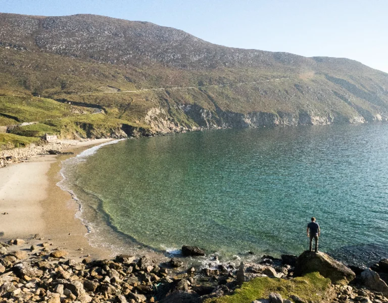 Ireland's stylized green landscape and Atlantic coast silhouette