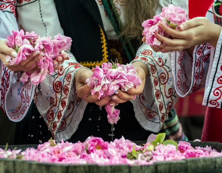 Rose pickers in Kazanlak, Bulgaria