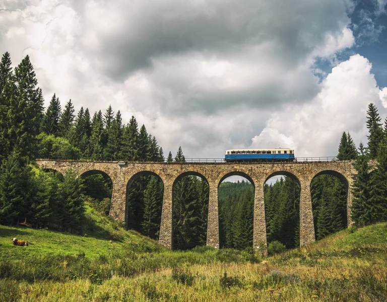 Blue train crossing a stone viaduct bridge in a lush green landscape with cows grazing below.