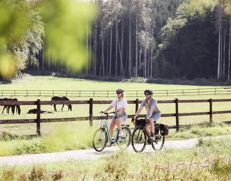 Two people ride bicycles past a pasture with grazing horses and a forest in the background.