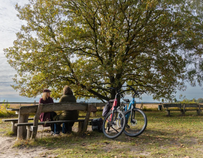 Two people sit at a picnic table under a tree with bicycles nearby in a park.