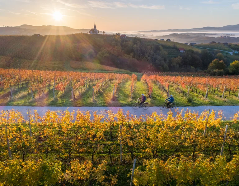 Two cyclists ride through a vineyard at sunrise with rolling hills in the background.