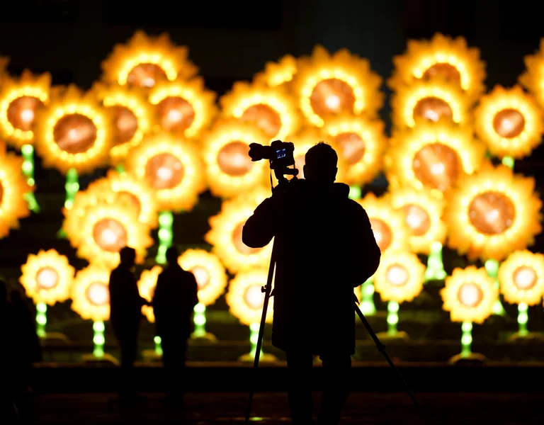 Silhouetted photographer before glowing sunflower lights at night.