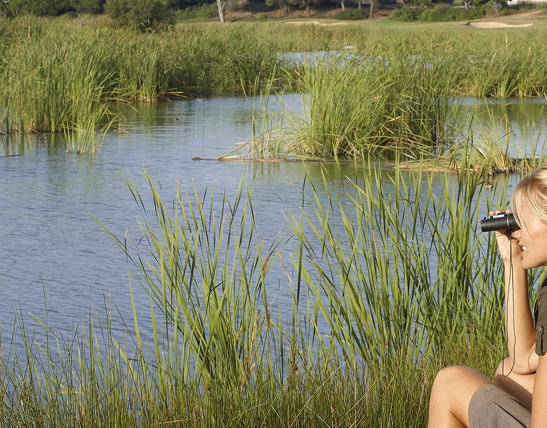 Two people sit by a marsh, one using binoculars to observe wildlife.