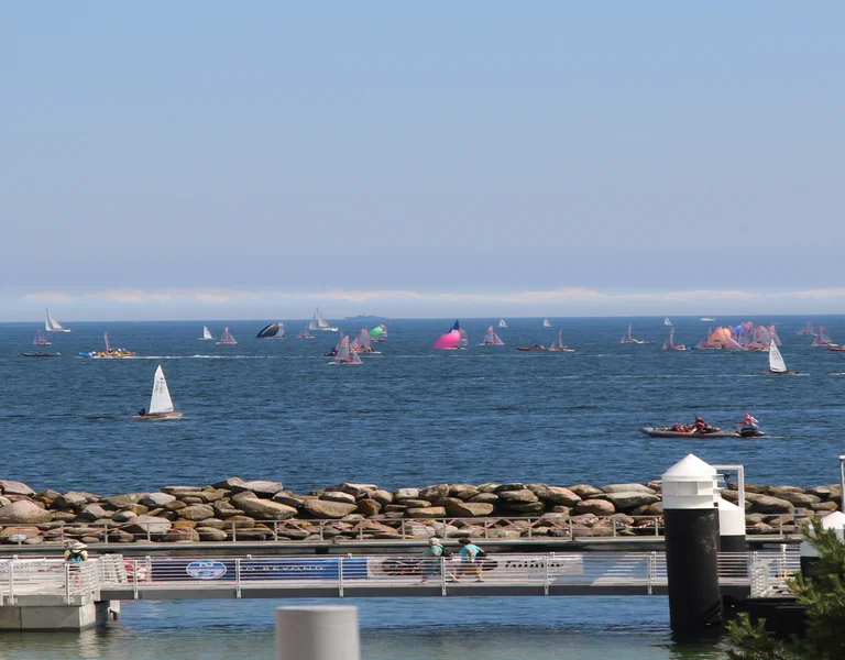 Many sailboats on a blue ocean with a rocky breakwater and trees in the foreground.