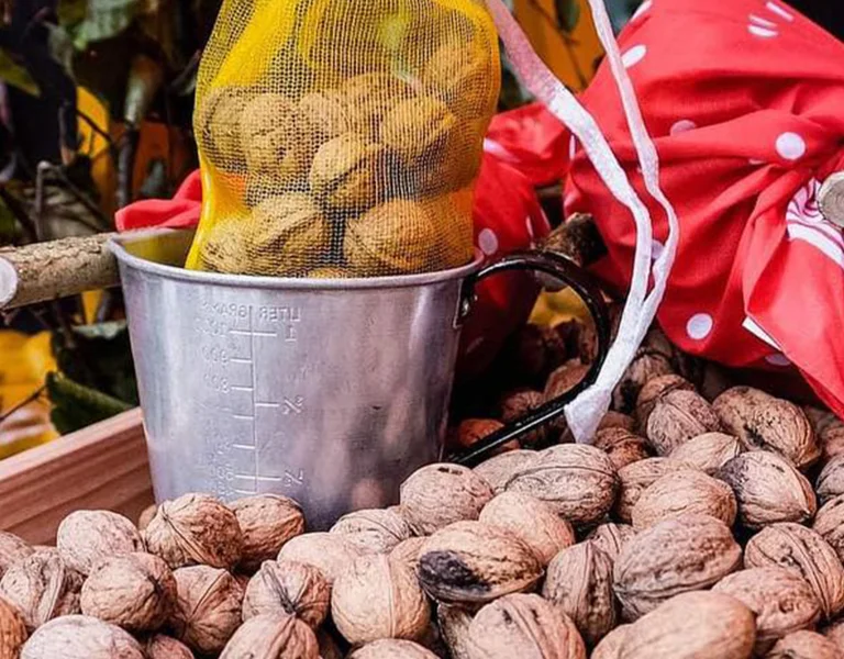 A pile of walnuts with a metal bucket and red polka-dot cloth.