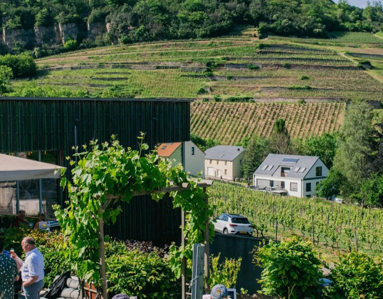 People dining outdoors under umbrellas with green hills and vineyards in the background.