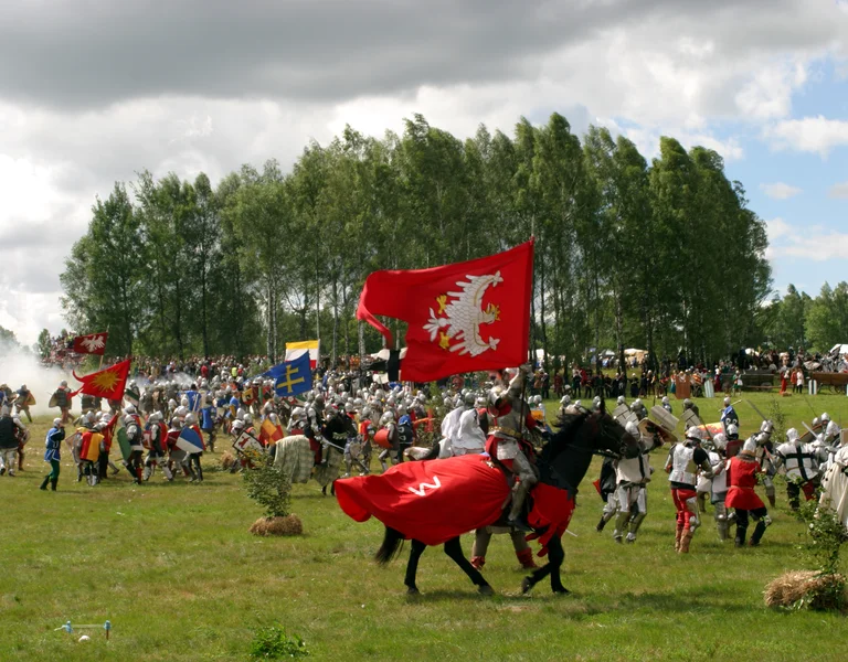 Medieval battle reenactment on a grassy field with knights and colorful flags.