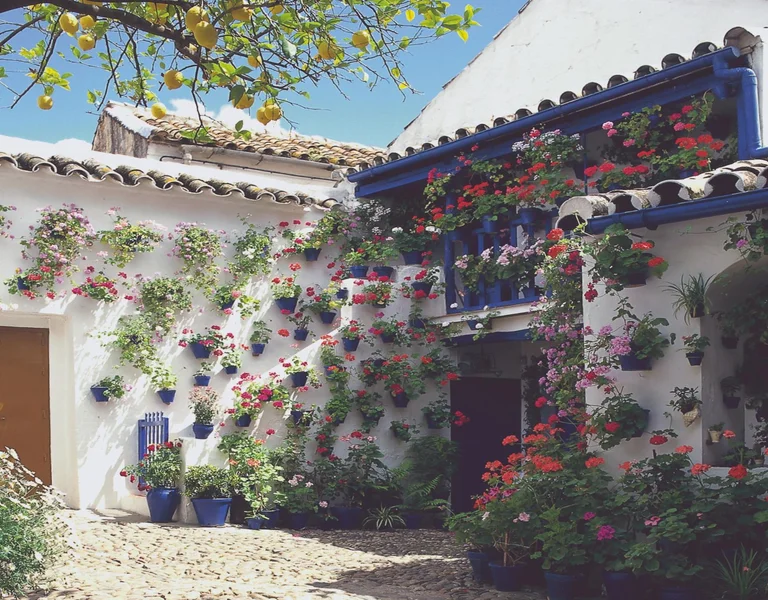 White courtyard with vibrant flowers in blue pots hanging on the walls.