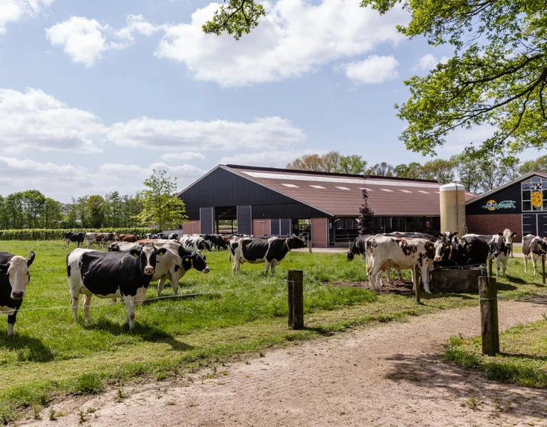 Cows grazing on grass near a modern farm building under a partly cloudy sky.