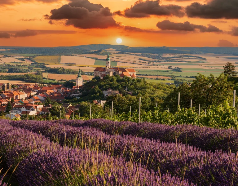 Lavender fields with a village and castle in the distance at sunset.