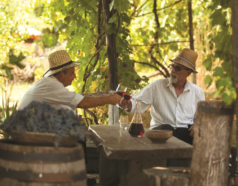 Two men in straw hats clink wine glasses at a rustic outdoor table under grapevines.
