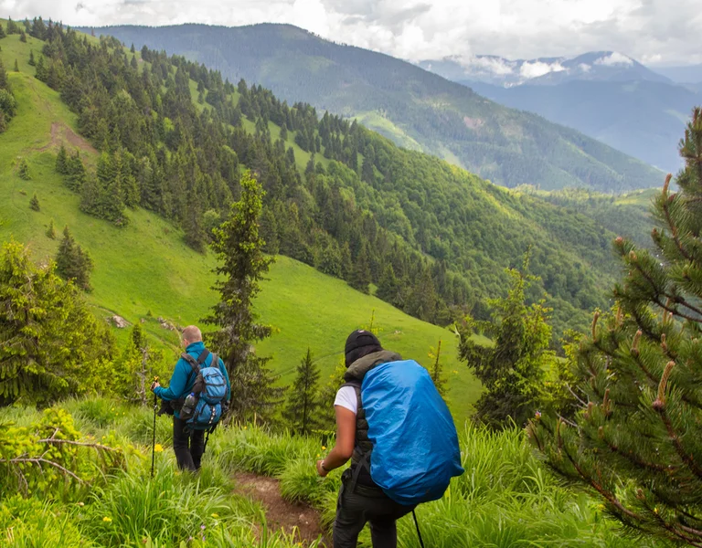 Two hikers with blue backpacks walking along a lush green mountain trail.