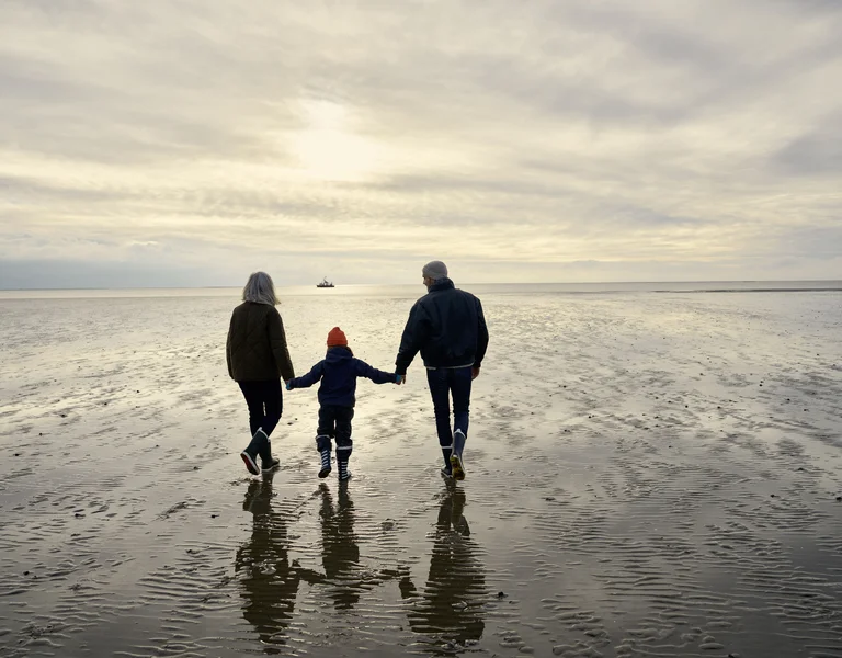 Three people holding hands walk on a wet, sandy beach under a cloudy sky.