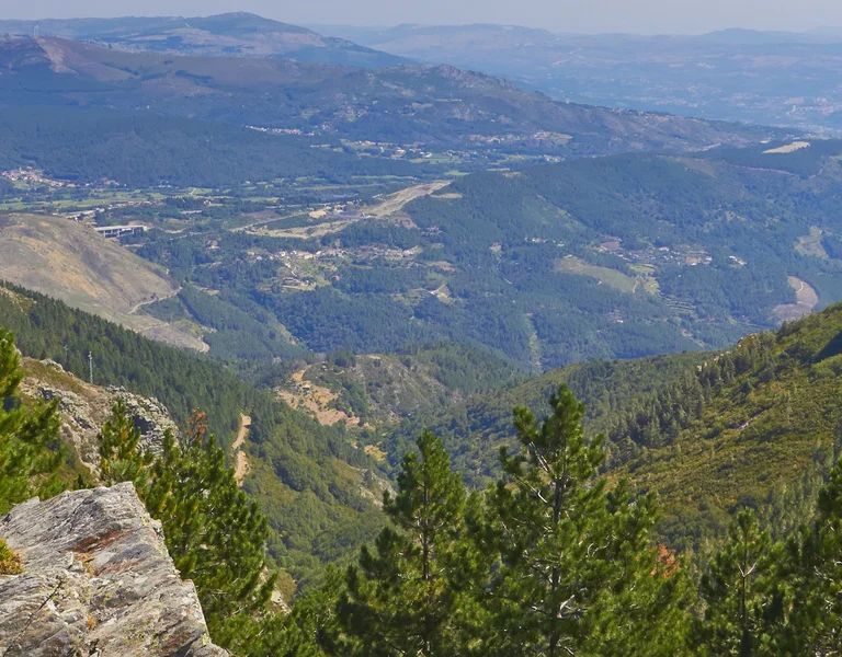 Hiker with a blue backpack overlooks a scenic mountain valley with green trees.