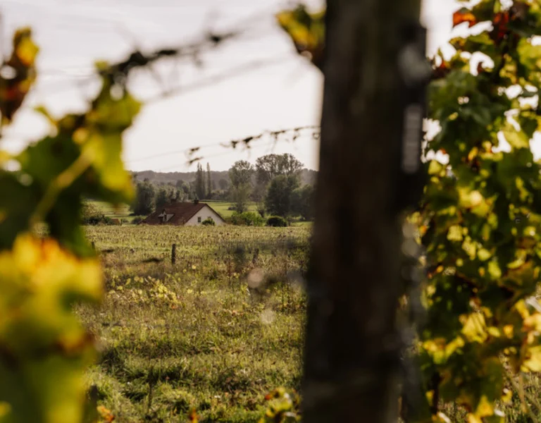 Country house in a green field, framed by blurred leaves and a wooden post.