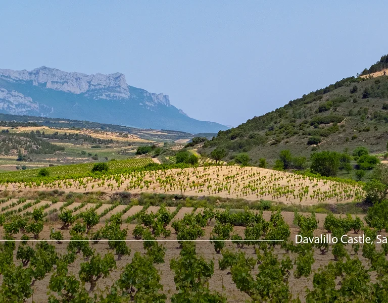 Castle atop a green hill overlooking vineyards and distant mountains under a clear sky.