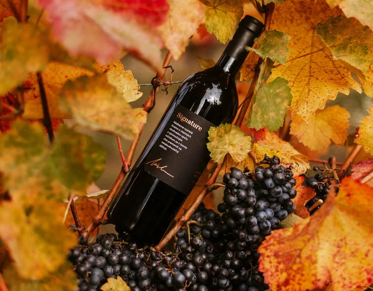 Wine bottle and grapes surrounded by colorful autumn leaves.