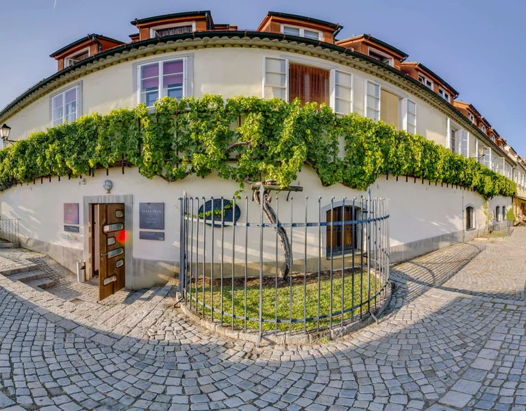 Sunny cobblestone street with a white building covered in green vines and outdoor seating.