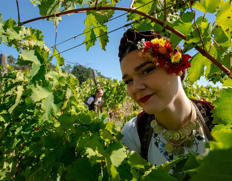 Woman in traditional attire with flowers in her hair, standing among green grapevines.
