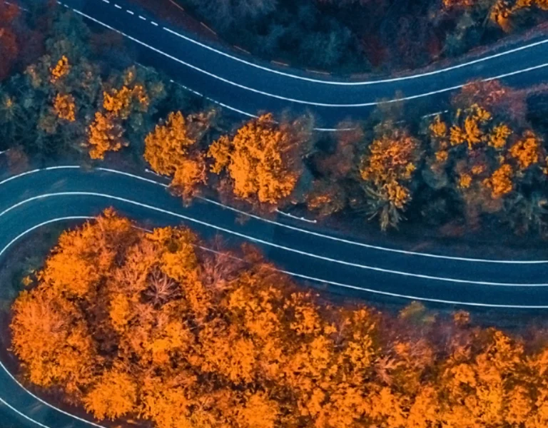 Winding road through dense autumn forest with vibrant orange foliage, seen from above.