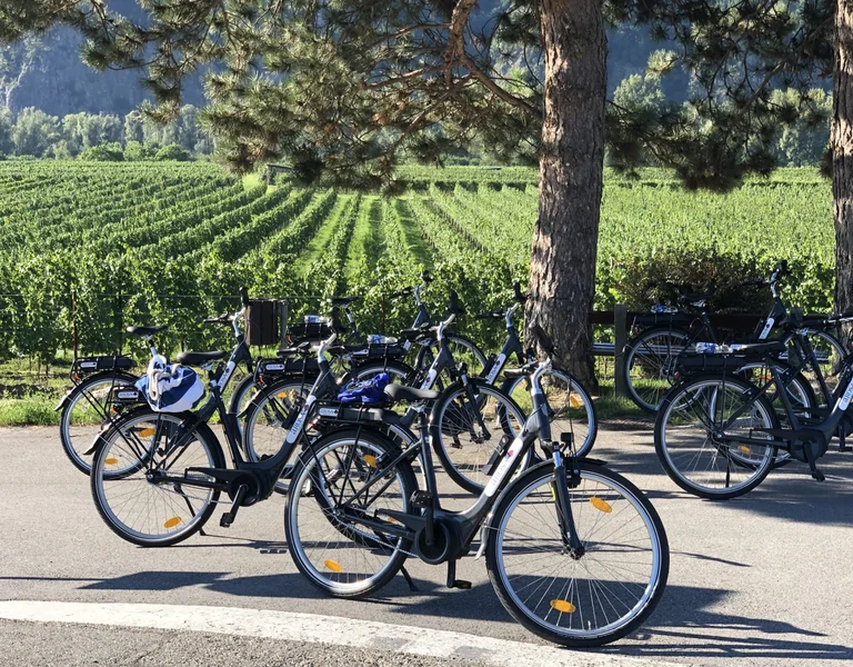 Bicycles parked by a road with vineyards and trees in the background.