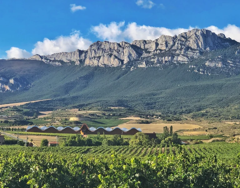Vineyard and buildings with mountains in the background under a blue sky with clouds.