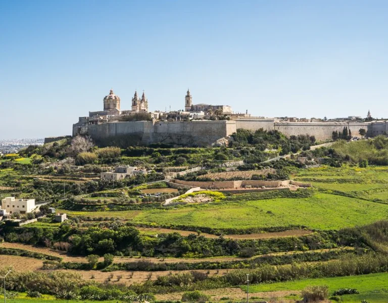 Walled city on a hill surrounded by green fields under a clear blue sky.