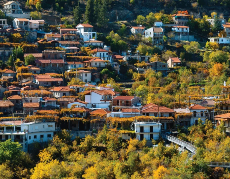 Hillside village with red-roofed houses surrounded by autumn trees.