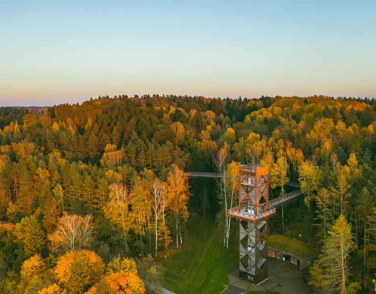 Observation tower surrounded by colorful autumn forest at sunset.