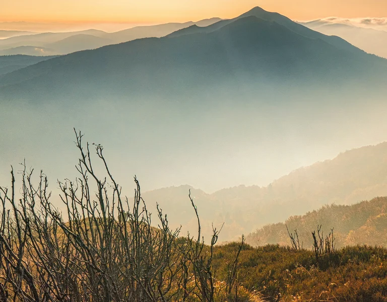 Mountain peak at sunrise with layers of mist and dry bushes in the foreground.