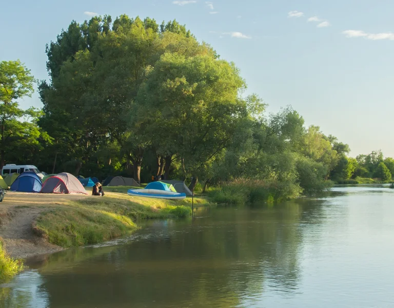 Tents and cars set up along a riverbank on a sunny day.