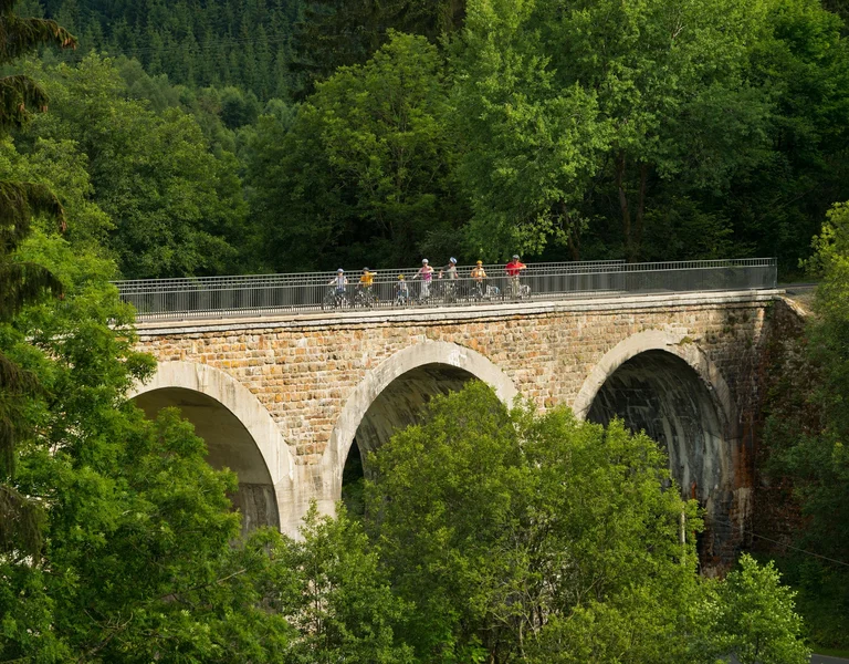Cyclists crossing an old stone bridge surrounded by lush green trees.