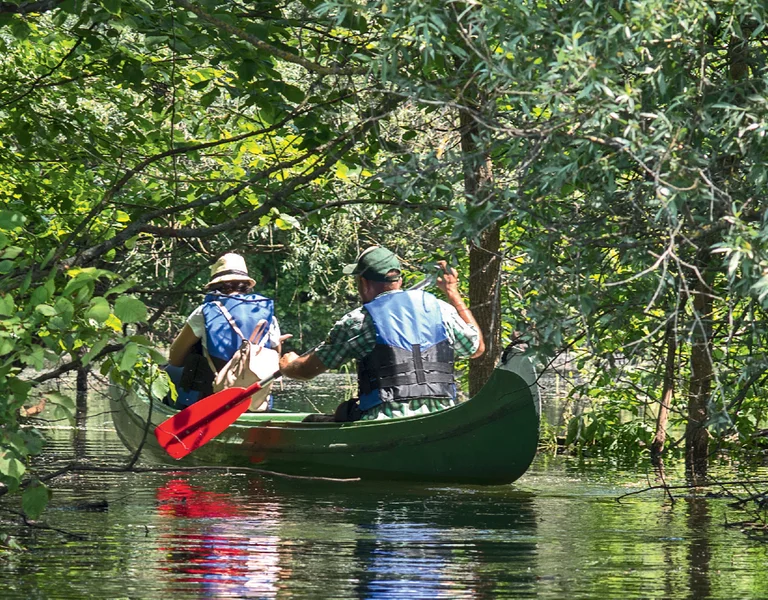 Two people canoeing on a calm river surrounded by lush, green trees.