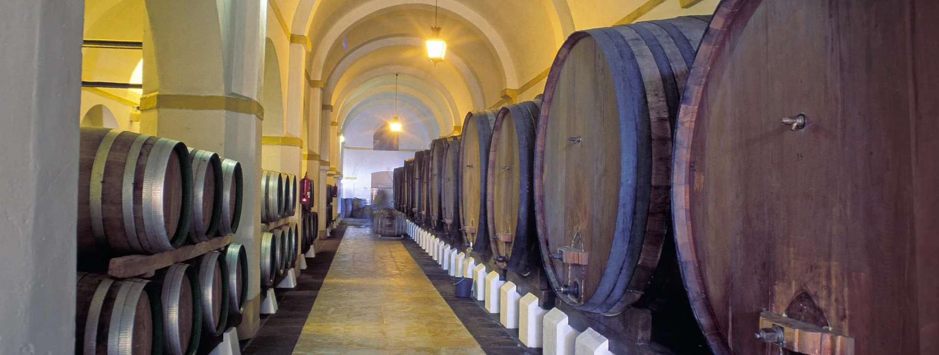 Swirl, Smell and Savor: a unique wine tasting trail