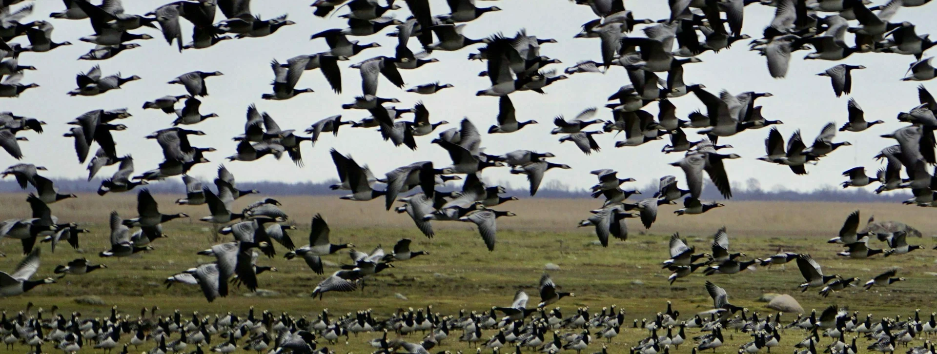 ETC_WebsiteContent_InfluencerExperience_Estonia