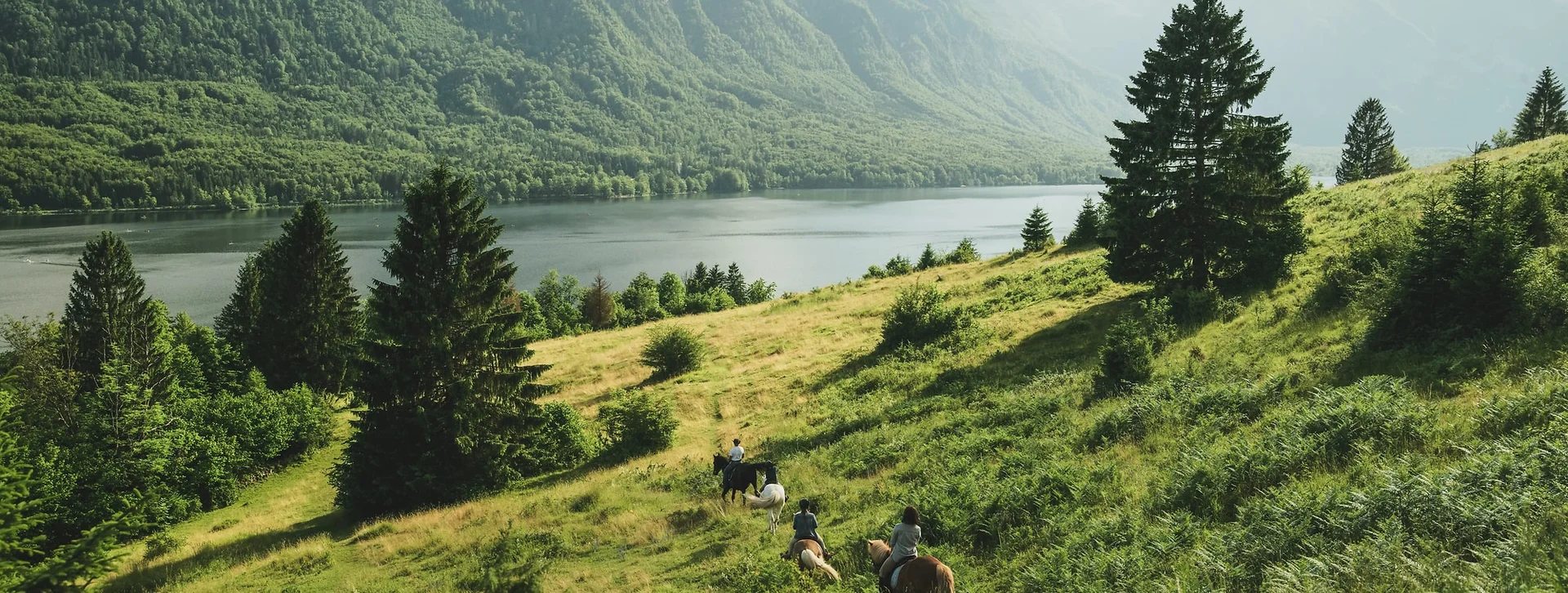 Bohinj, Slovenia.