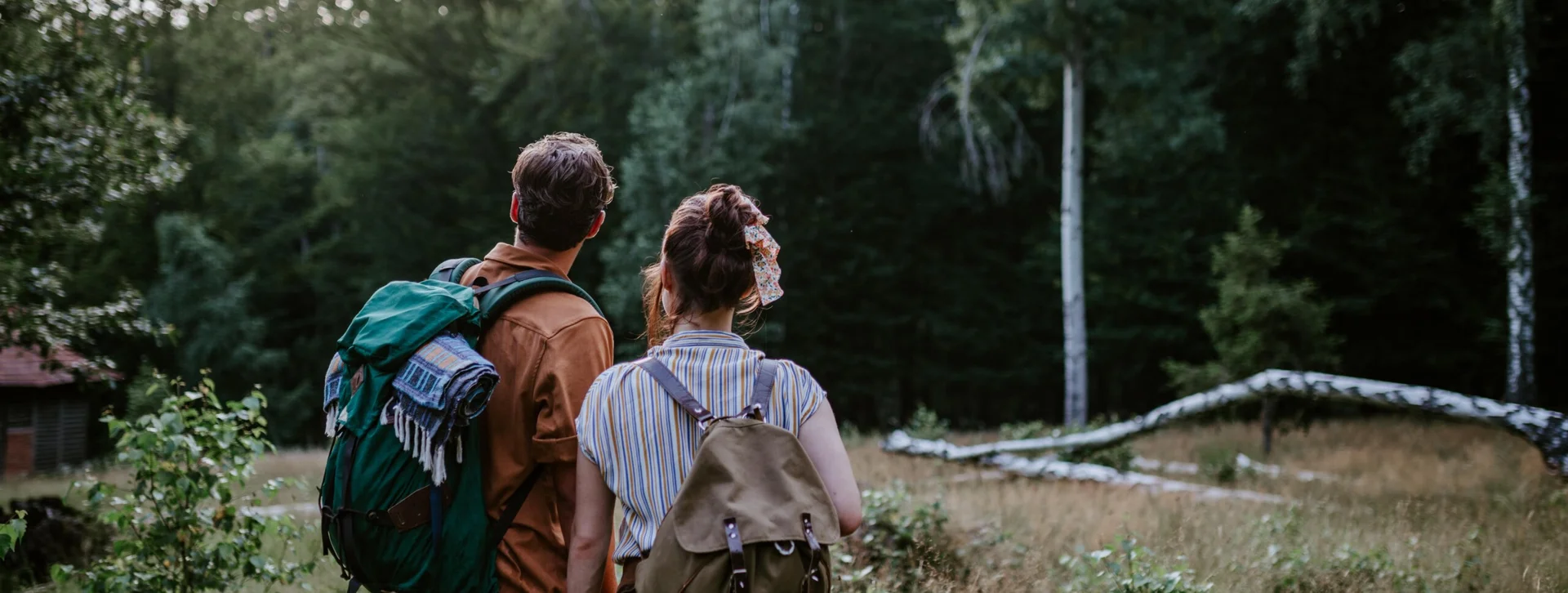 Hungarian Blue Trail