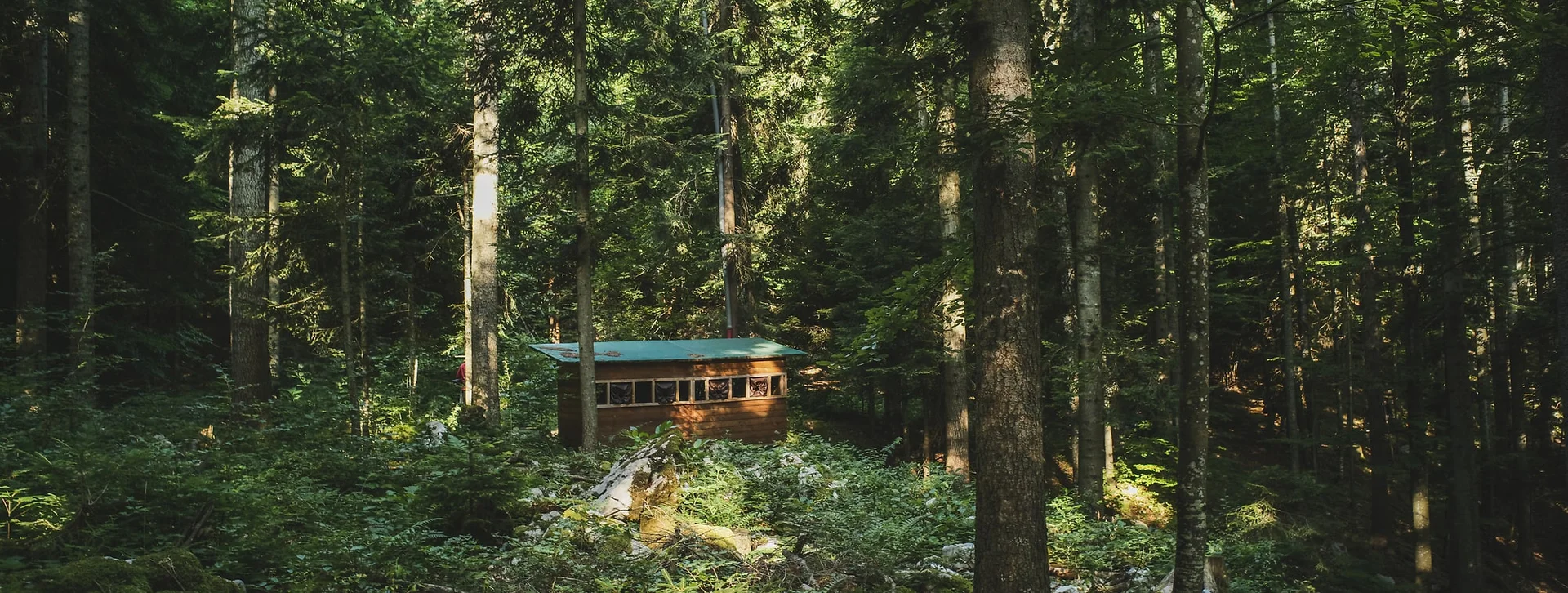 Take advantage of unique offers that bringing wildlife closer, respectfully and safely